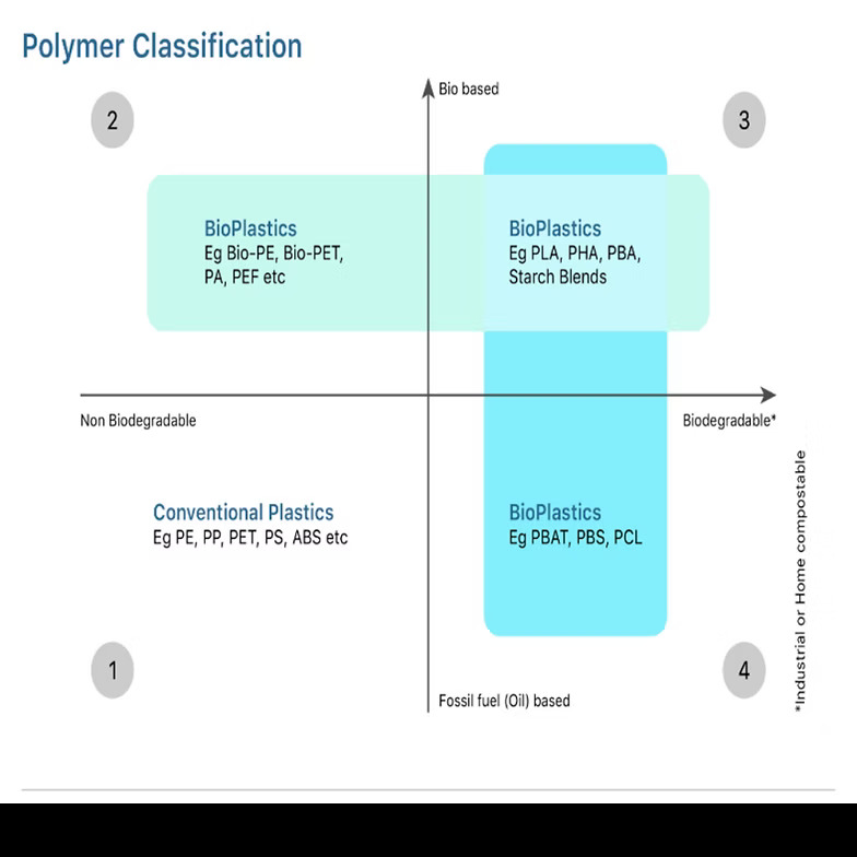 Polymer Classification